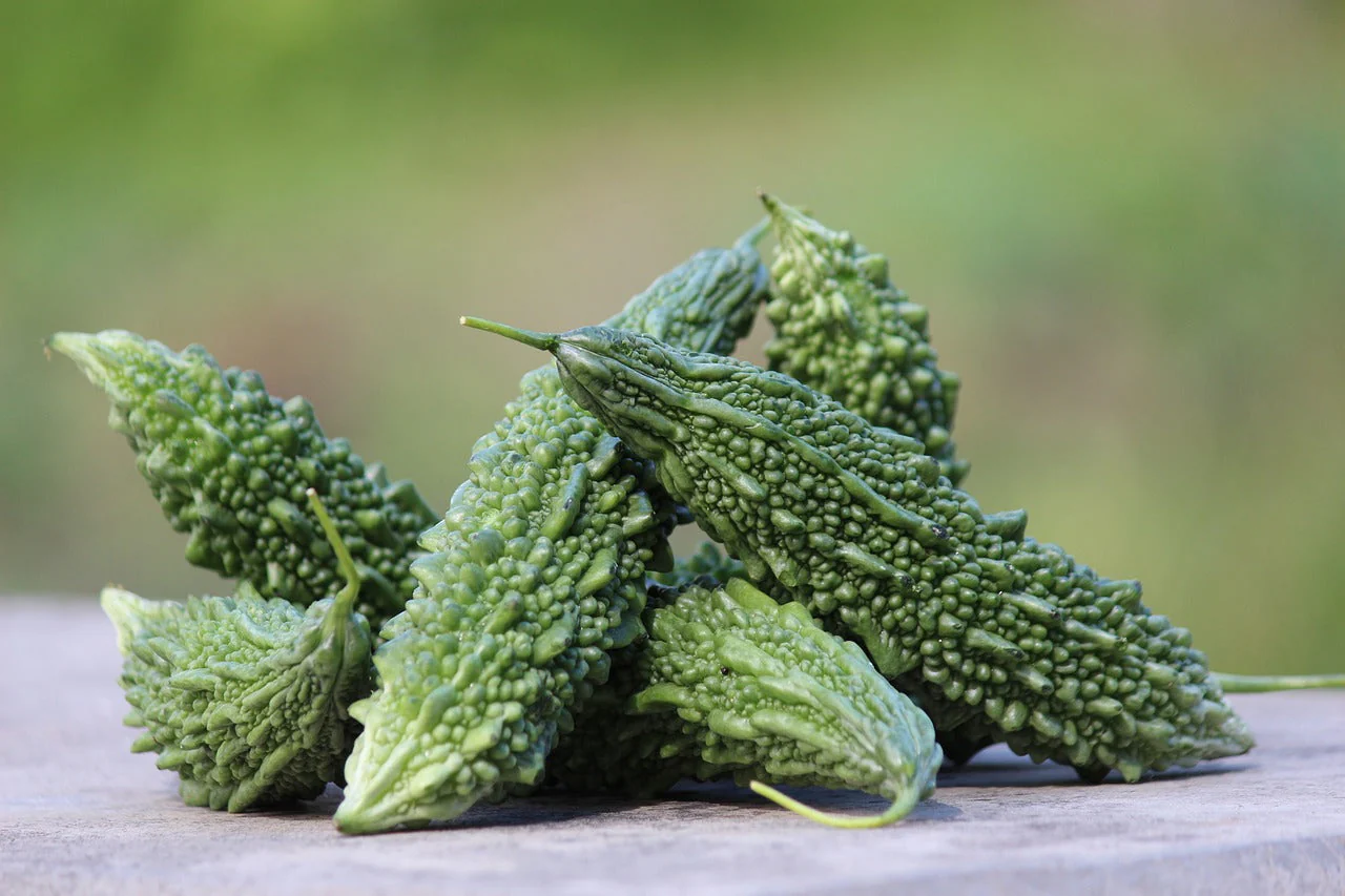 Fresh Karela (Bitter Melon)